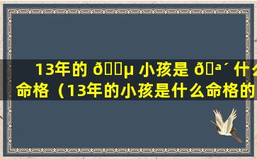 13年的 🌵 小孩是 🪴 什么命格（13年的小孩是什么命格的人）